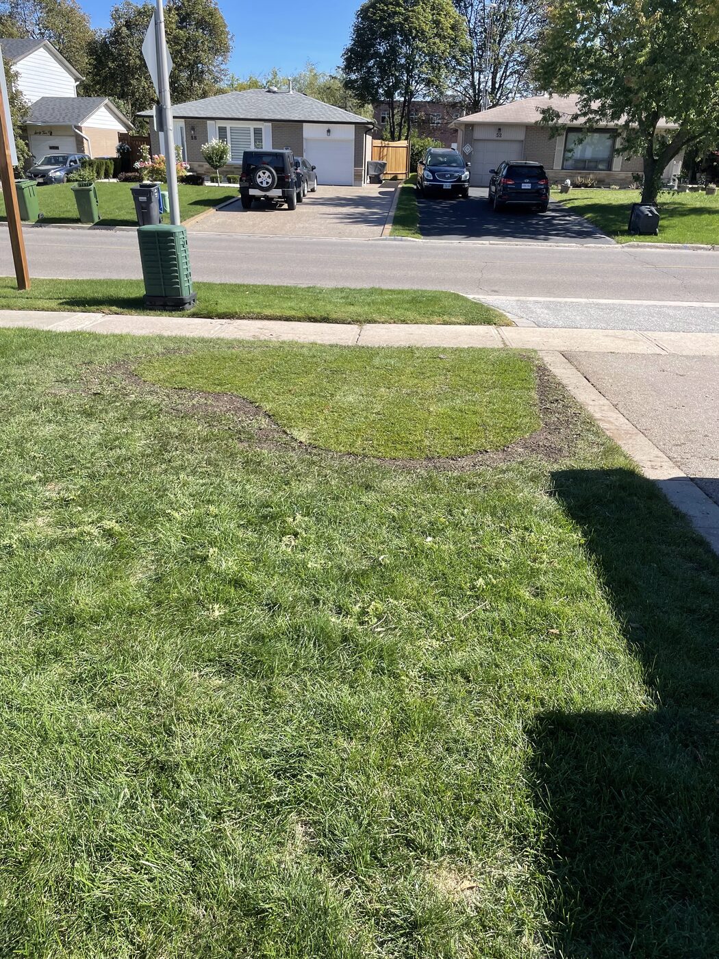 The same yard after shrub removal and fresh lawn