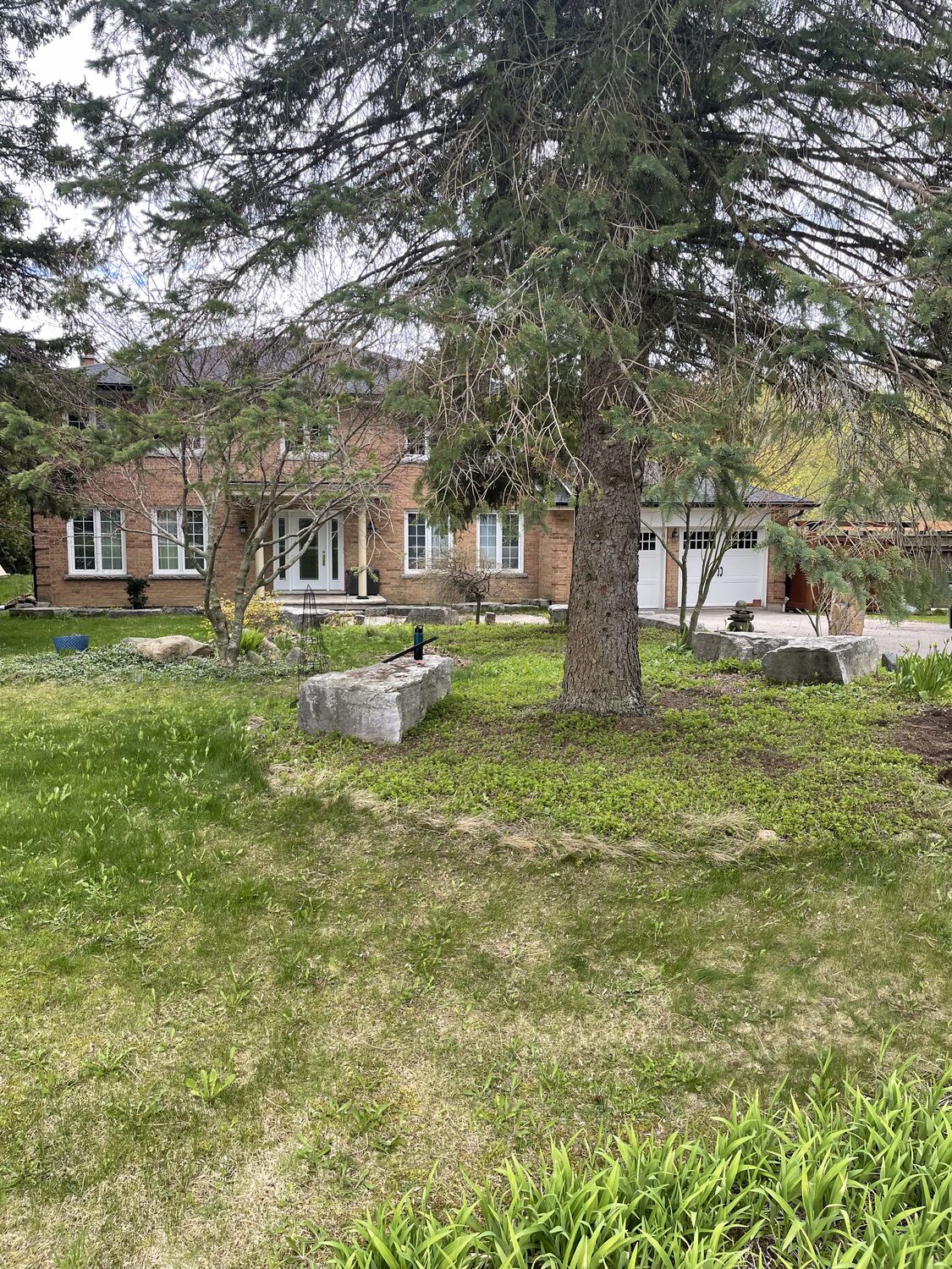 Front garden before landscaping by Royal Landscaping