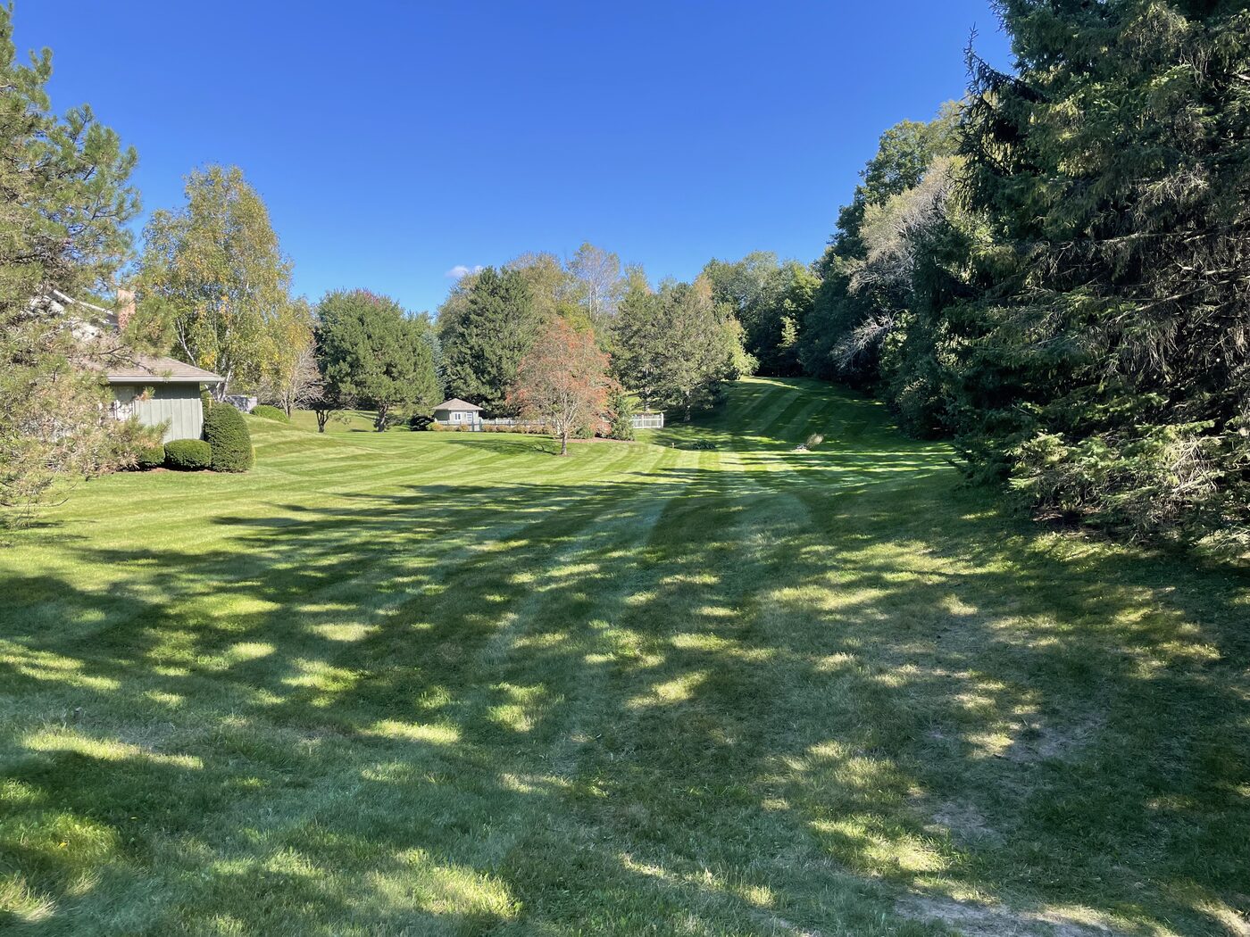 Expansive green lawn on a treed country property