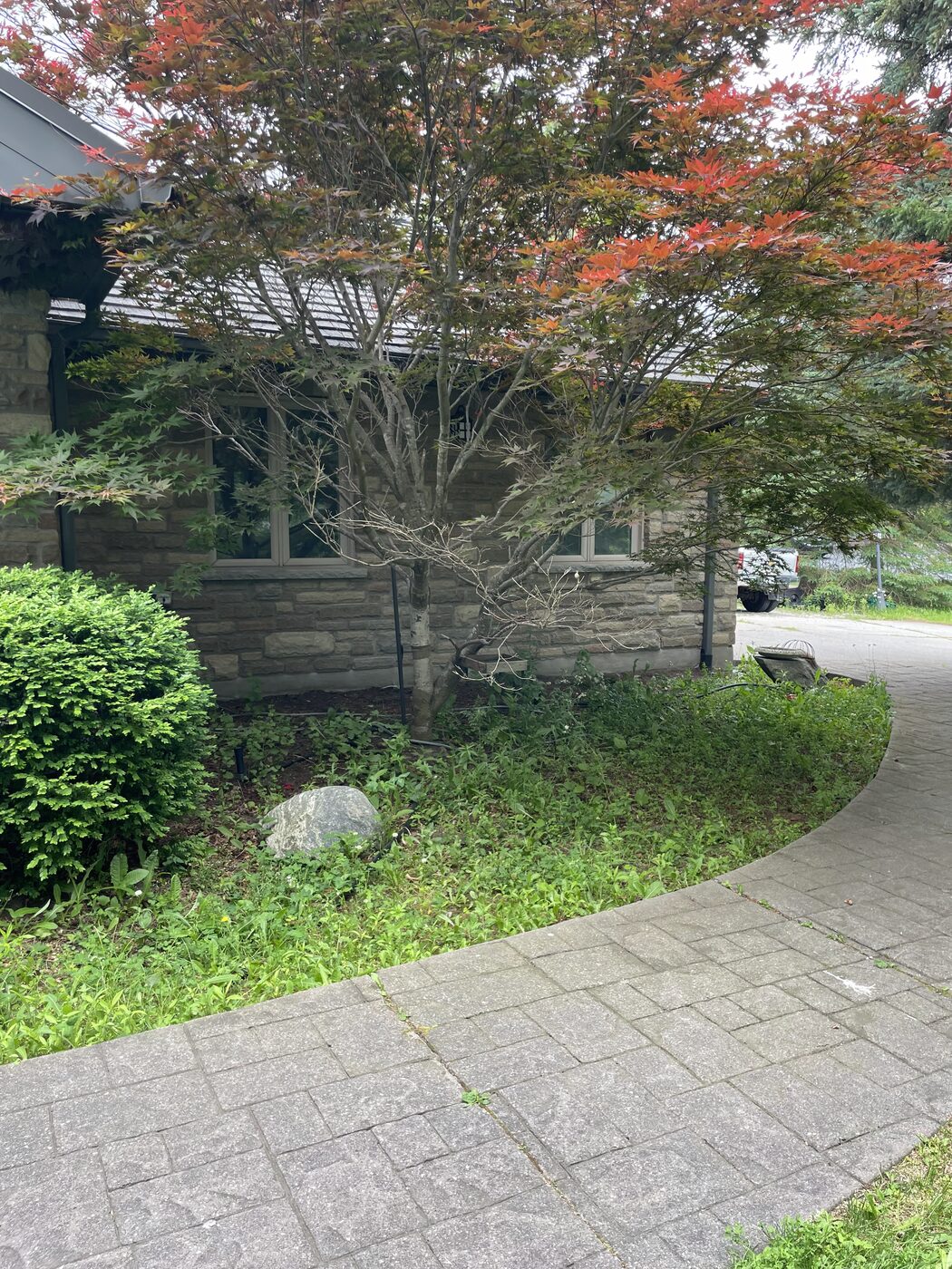Stone home with a red maple and interlock walkway