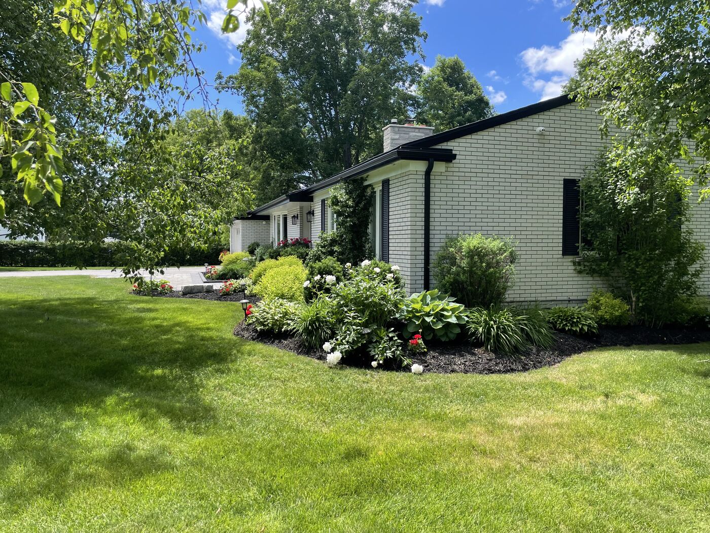 Lush garden beds with hydrangeas beside a tidy lawn
