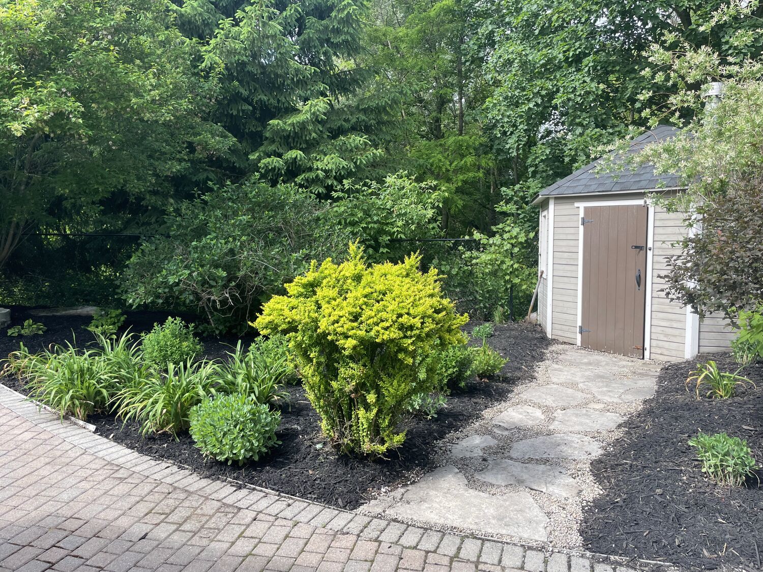 Landscaped garden bed and flagstone path leading to a backyard shed